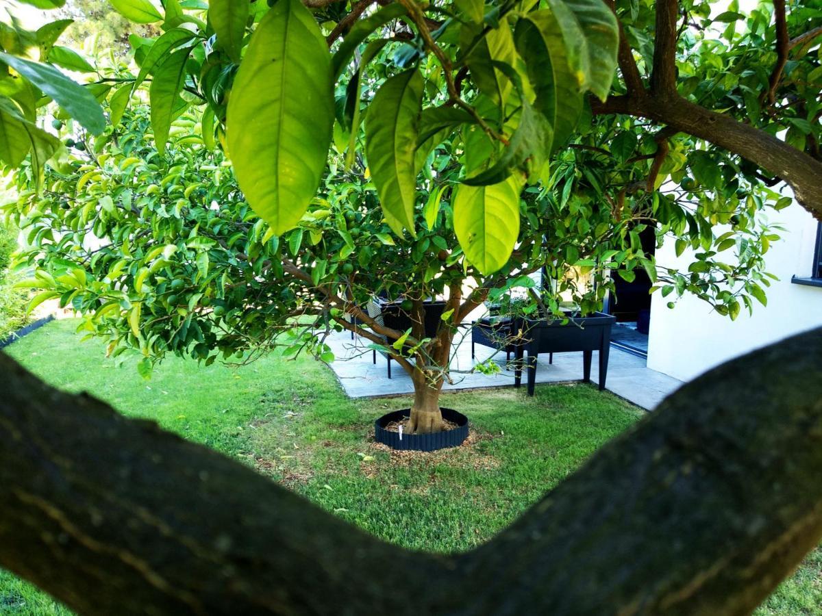 House Of Silence Apartment Trogir Luaran gambar